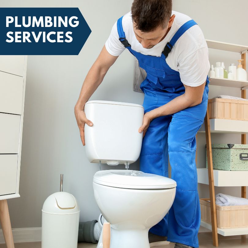 Plumbing Company in Ray City, GA